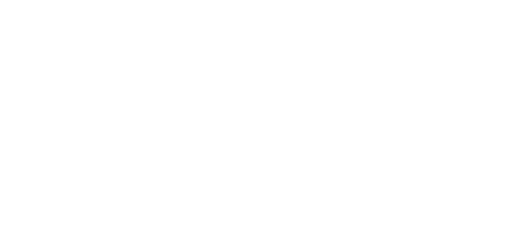 Český velkoobchod s.r.o.